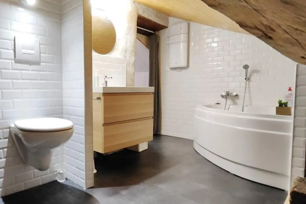 Le Real-Ax, Grand Appartement Au Coeur De Ax Les Thermes Ax-les-Thermes 0*,